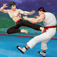 Karate Fighter(功夫大师)